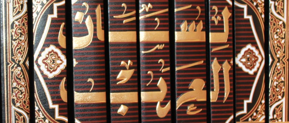 Il 5 maggio 2014 Msgr. Michael Fitzgerald è stato insignito della massima onorificenza accademica della Australian Catholic University.